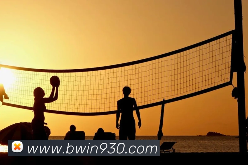 奖项证书